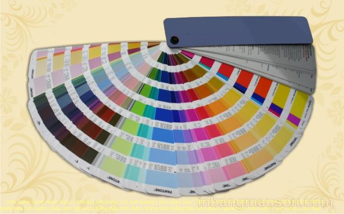 Nhà cung cấp sơn Karawa chính hãng uy tín nhất