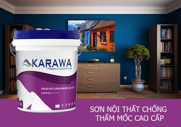 Nhà cung cấp sơn Karawa chính hãng uy tín nhất