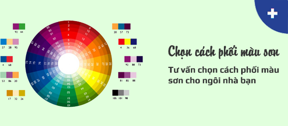 Nhà cung cấp sơn Karawa chính hãng uy tín nhất